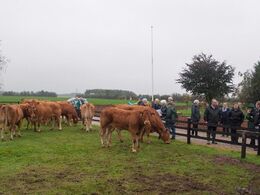 Overskyet men lunt – behageligt vejr for et efterårsmøde