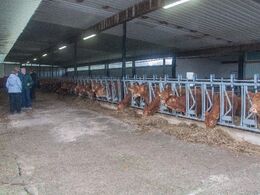 Kvier i fanggitter – set udefra og ind