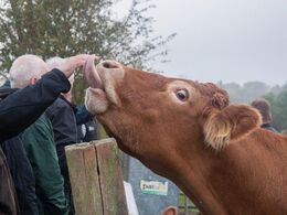 Andre er meget nærgående