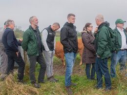 Nu er deltagerne ved at være godt trætte efter at have snakket limousine i over et døgn