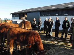 Tid til at vende synspunkter og erfaringer foran dyrene inden afgang til næste destination.