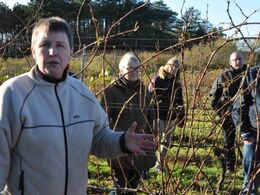 Her fortælles om beskæring – sprøjtning og gødning er minimalt her på bedriften