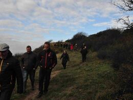 En lang række i køernes spor