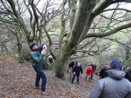 Stedet er eminent til udflugt med ungerne - gode klatretræer