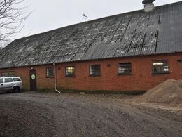 Limousinerne hos familien Holst, Mosegårdens Limousine, har vinterresidens i denne ældre ombyggede stald