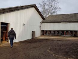 Ungdyrstald til venstre og kostald til højre set udefra