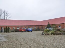 Tranbjerggård Limousine – limousinerne går i ældre ombyggede landbrugsbygninger samt i en fritliggende bygning med stålbeklædning (sidstnævnte ikke med på billedet)