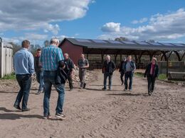 Stalden til limousinerne set fra siden