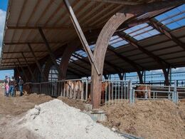 Her ses konstruktionen vedr. det overdækkede foderbord