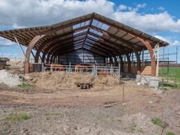 Stalden set fra enden – møget står højt på denne tid af året, da der kun muges ud én gang årligt