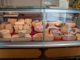 Der er ikke kun egne produkter i gårdbutikken, men et bredt udvalg af blandt andet oste