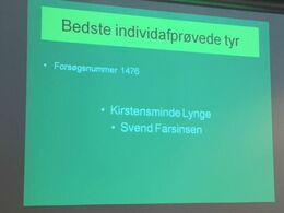 Svend Farsinsen havde avlet Kirstensminde Lynge - tyren, som målt på indekser og kåring havde gjort det allerbedst på Aalestrup Avlsstation i det forgangne år