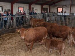 08-	Efter generalforsamlingen var der besætningsbesøg hos Birthe og Svend Riis Nielsen, Resdal Limousine