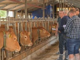 Nogle af limousinerne var hentet ind i dagens anledning