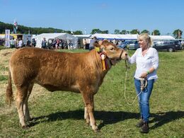 Bedste kødkvægdyr under 15 mdr. på tværs af racer. Engtoftegård Monalise fra Anders Lange