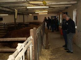 God snak om avlskvier.