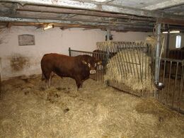 Vaselund Polled Lando hvad mon der sker i dag?