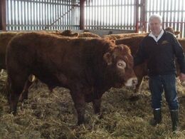 Avlstyren er efter Bavardage