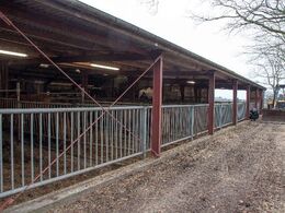 Stalden til besætningens 10 køer er en tilbygning/ombygning af ejendommens maskinhus