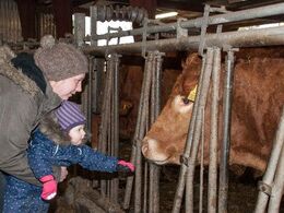 Lille pige ser på limousiner sammen med sin mor – det er overvældende