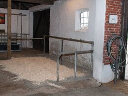 Udstilling på dyrskue er vigtig for familien, og stalden er indrettet, så der er god plads til dyrskueforberedelse