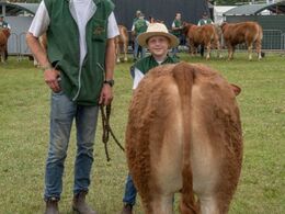 Tyre 5-6 mdr. Kun én tyr i holdet, Gulleruplunds Ubbe fra Gulleruplund Limousine, Nykøbing M