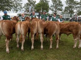 Tyre 6-8 mdr. Fløjvinder blev Grønbjerg Tate fra Martin Ålykke Jensen, Nørre Nebel