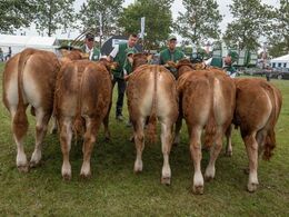 Tyre 8-10 mdr. Fløjvinder blev Damgaard Taurus fra Damgaard Limousine, Juelsminde