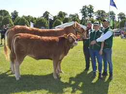 Bøgely Limousine v/Tommy Jessing. Bøgely Ideal m. Bøgely Mathilde P - Bedste ko m. Kalv, Bedste Limousine & bedste Hundyr, limousine Champion, 24p og Interbreed vinder for hundyr.   Ærespræmie