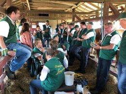 Social hygge i stalden efter bedømmelsen.