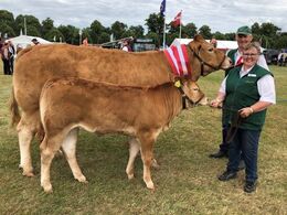 Borre Hirse, fra Margit og Erik Egsgaard    Bedste ældre ko, bedste hundyr, bedste limousinedyr, 24 p ærespræmie