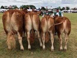 Bedste besætningsgruppe og vinder på tværs af racer    Bøgely Limousine, Tommy Jessing