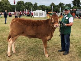 Bøgely Nynne fra Tommy Jessing    23 p ærespræmie
