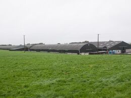 På dag to, efter det tekniske møde, er der besætningsbesøg på McGee Farmen nær Athlone (midt Irland) – en produktionsbesætning med ca. 250 køer