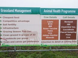 Planche om græsmarksdriften og om gårdens sundhedsprogram