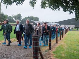 Af sted på marktur for at se dyr