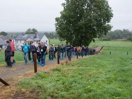 Irland er kendt som ”Den grønne ø” – alle steder stod græsset grønt og saftigt