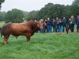 Samme avlstyr som før – nu fra en ny vinkel