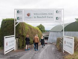 Dag fire (efter besøg i Newbridge Silver Visitor Centre) besøgte deltagerne Irlands største limousinebesætning Ardlea Elite Limousin Farm, i Mountrath (County Laois). Der er tale om tre besætninger i én: avlsbesætningen Ardlea, embryobesætningen Elite og 