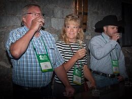 Udvalgte deltagere skal smage og karakterisere tre slags whiskey