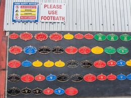 Roundhill Pedigree Herd er også en besætning, der har præsteret mange vindere