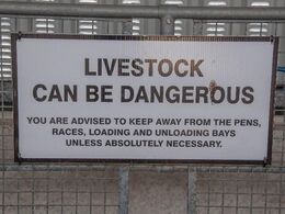En påmindelse om at holde afstand til kvæg – faciliteterne bruges dog også til andre formål end dyrskue