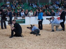 Meget stor interesse for at fotografere bedømmelsen af limousinerne