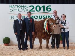 Sådan fotograferes en vindertyr i Irland