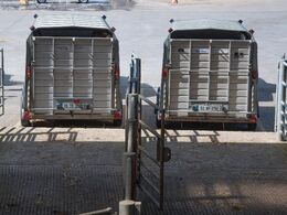 Klar til afgang for nogle af dyrskuedyrene