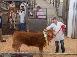 Hej alle sammen – er jeg ikke fin?