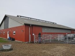 Vejlmose Limousine. Næsten ny stald med stålpladebeklædning
