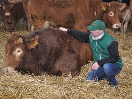 Jan Jensen sammen med Engkjaer Get It, der er foldtyr i besætningen