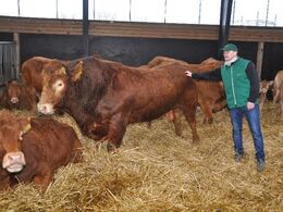 Så kom Engkjaer Get It da endelig op at stå