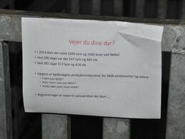 Vigtig påmindelse til limousinefolkene om vigtigheden af løbende at veje dyrene